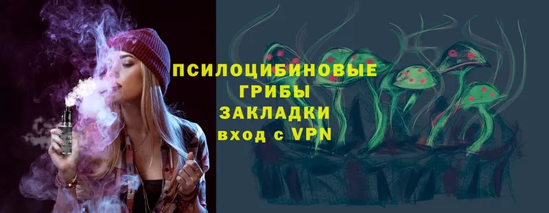 Галлюциногенные грибы Psilocybe  где найти   Волоколамск 